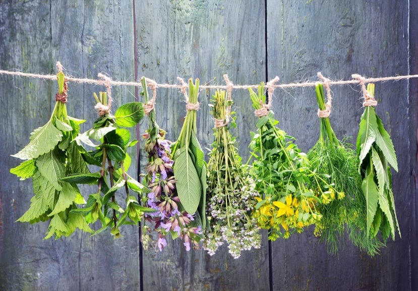 Herbs - Naturopathic Consultation - Herbs