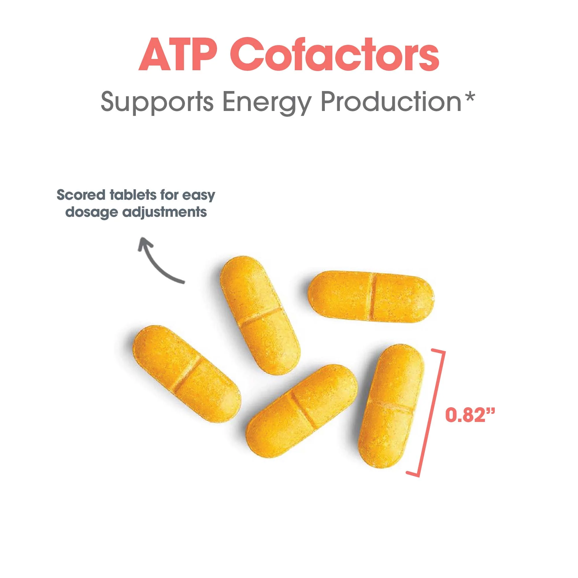01201-4 ATP Co Factors Supports Energy Production