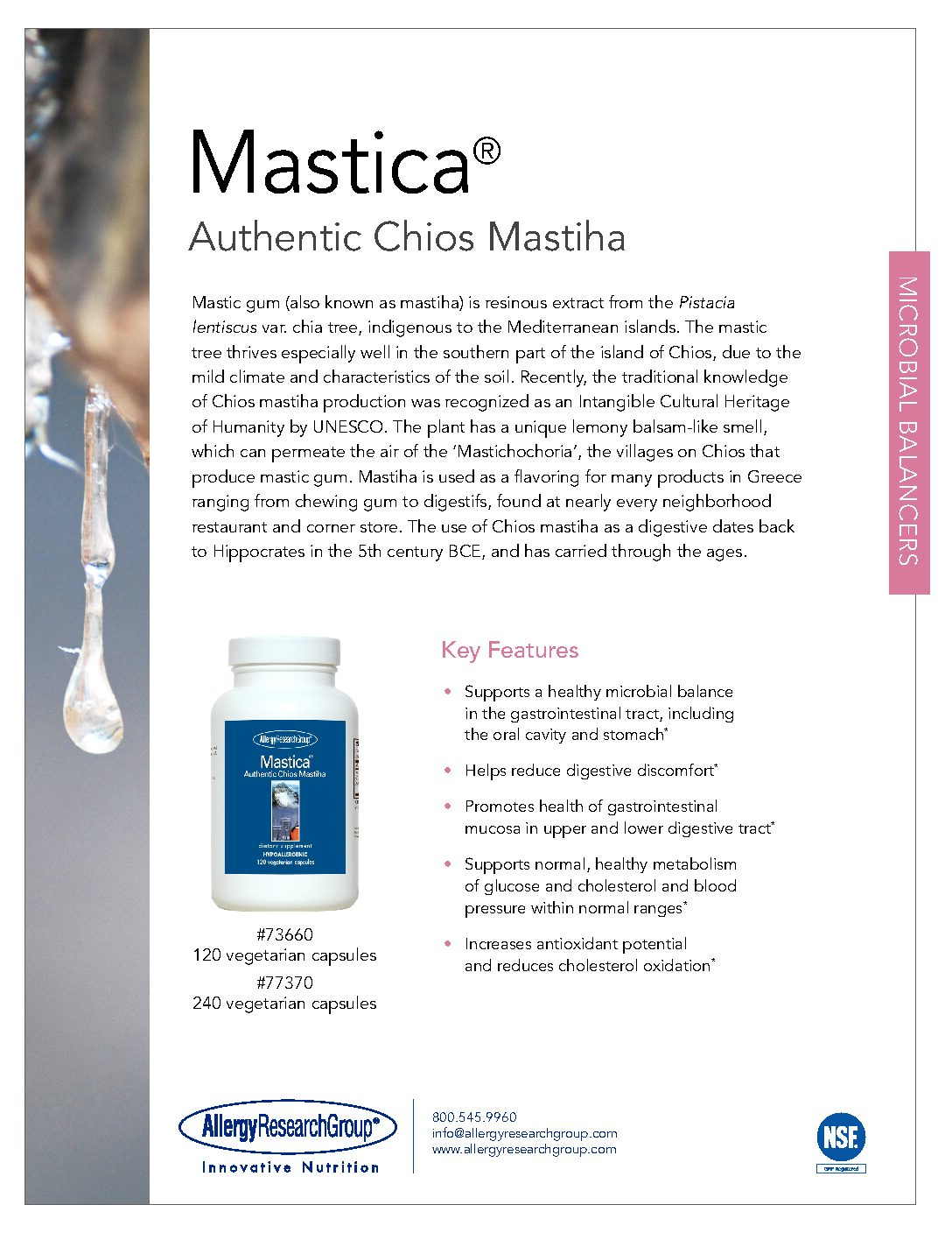 Mastica (Chios Gum Mastic) — Full Spectrum Energy Medicine