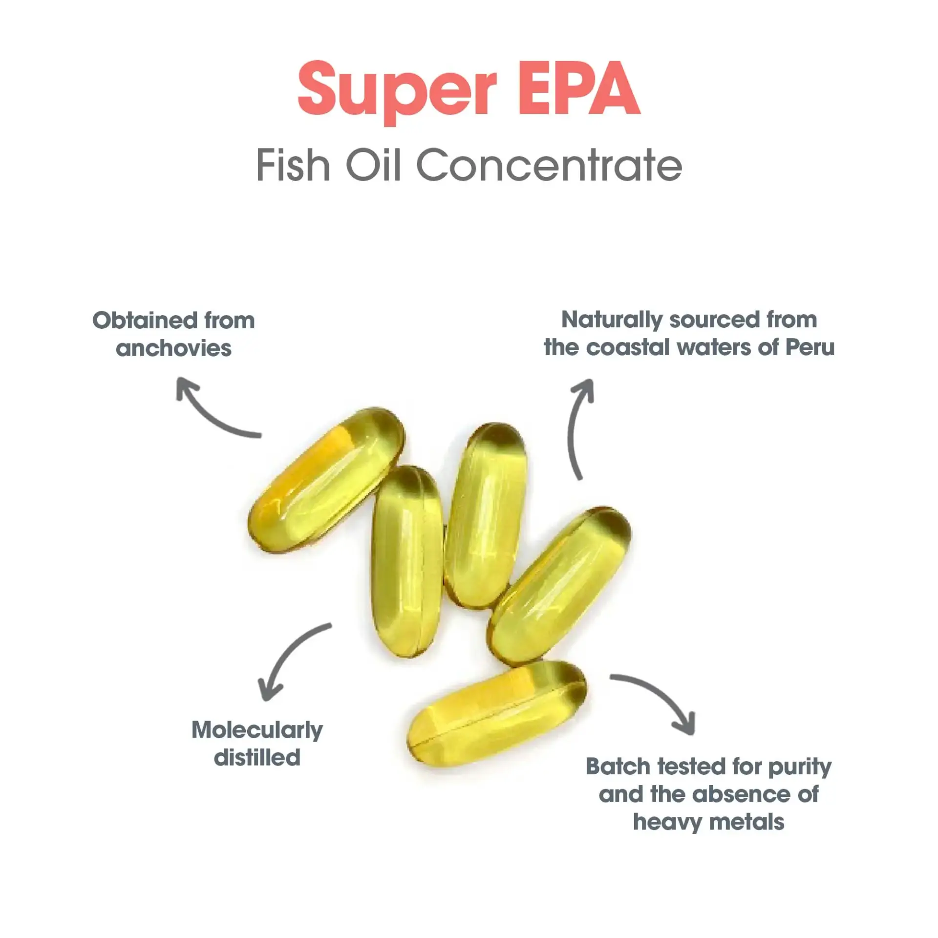 Super EPA Fish Oil Concentrate - Image 4