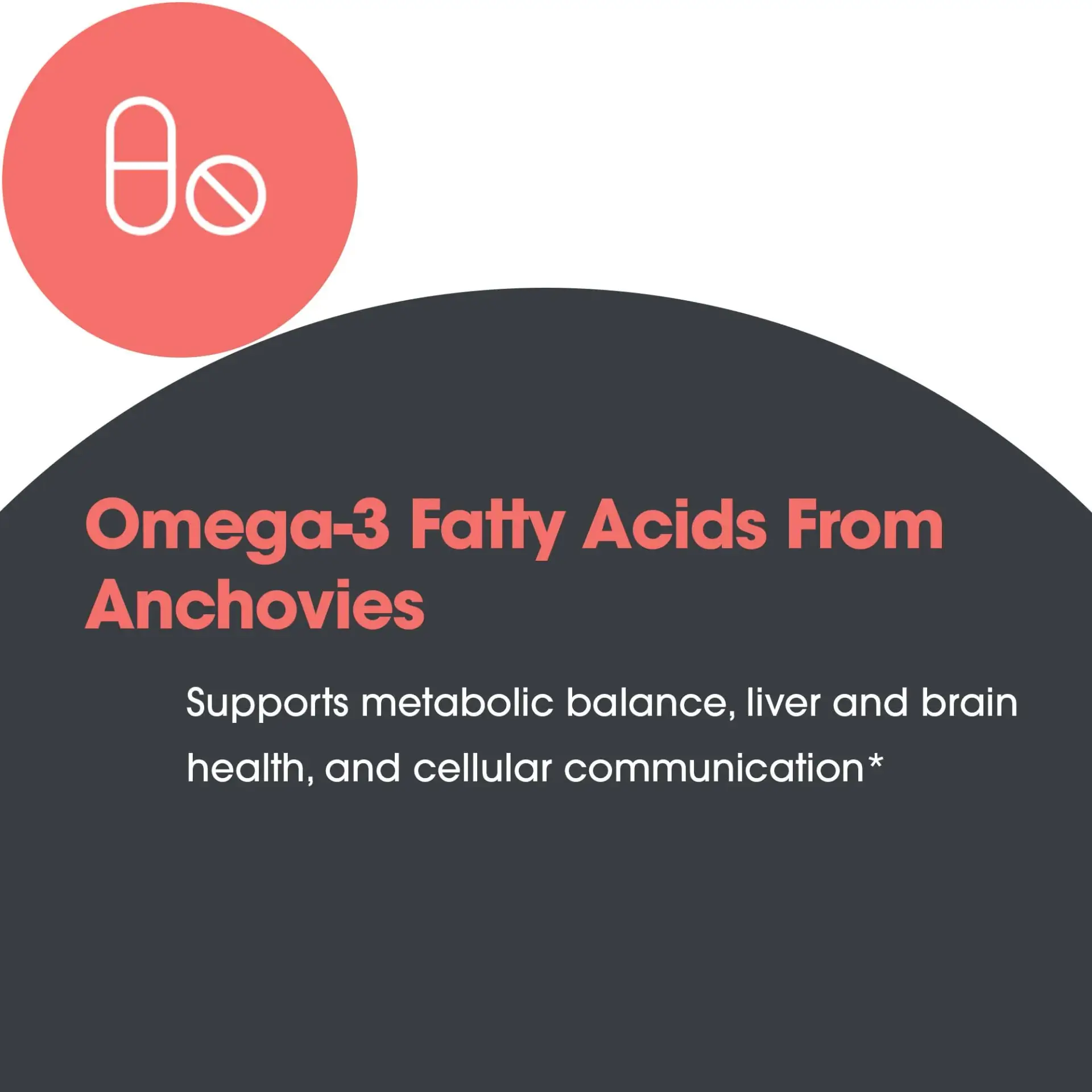 Super EPA Fish Oil Concentrate - Image 5