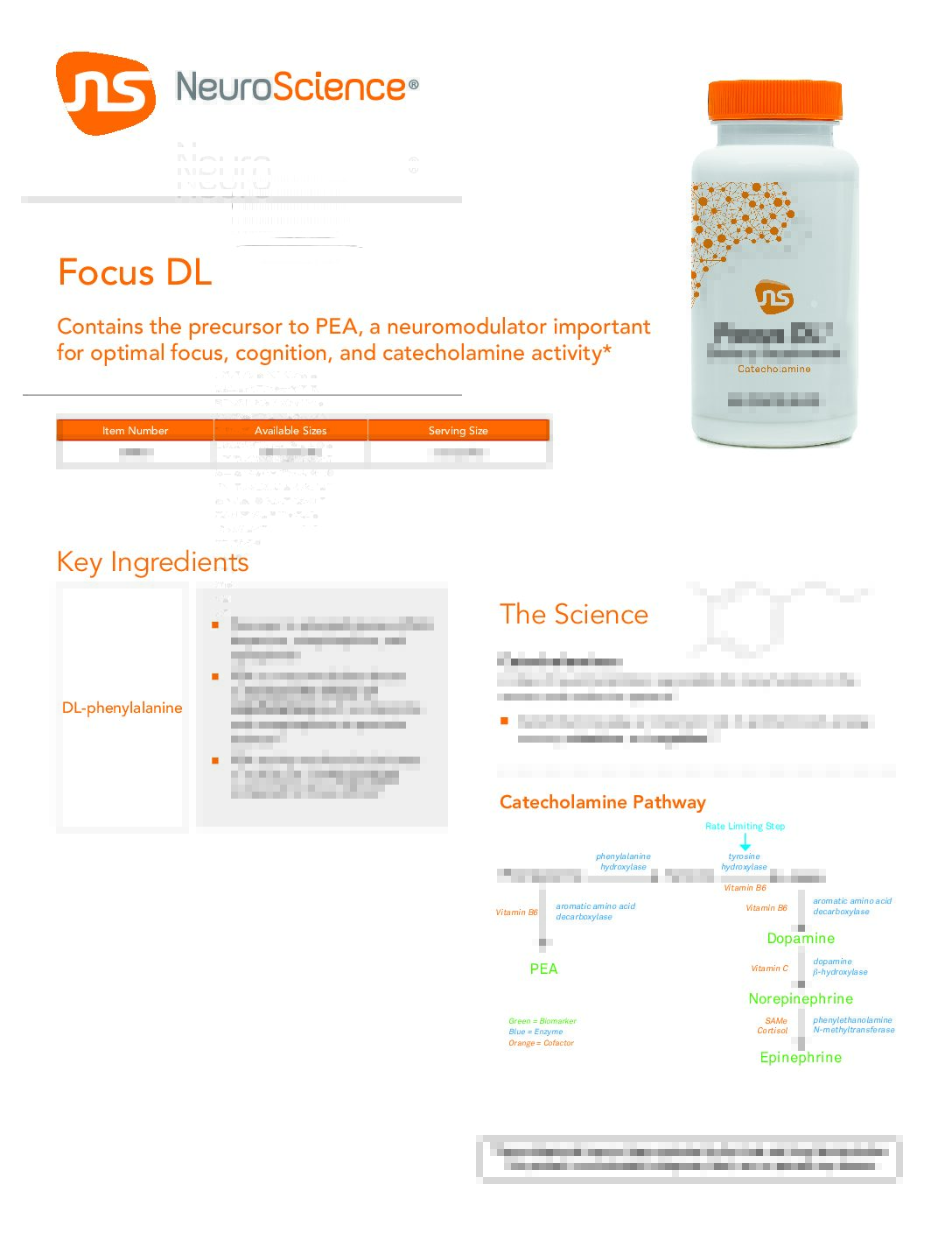 Focus DL - Image 2