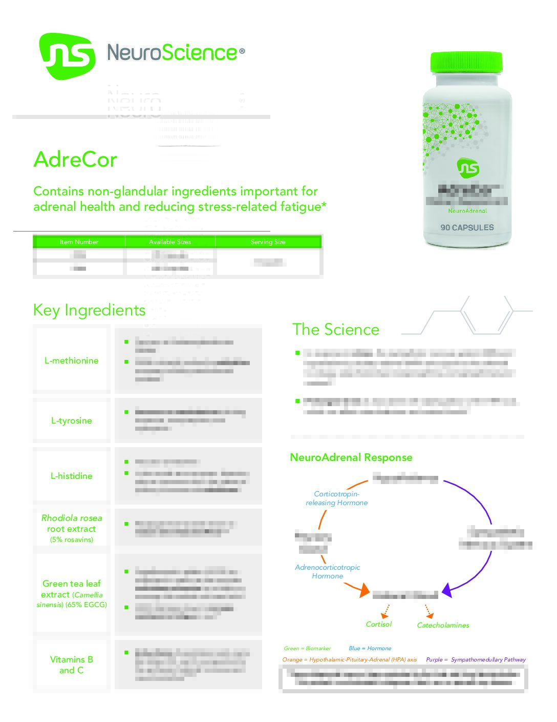 AdreCor - Image 3