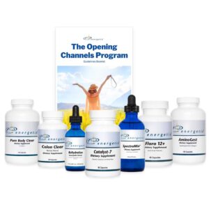 Opening-Channels-Program_Energetix.
