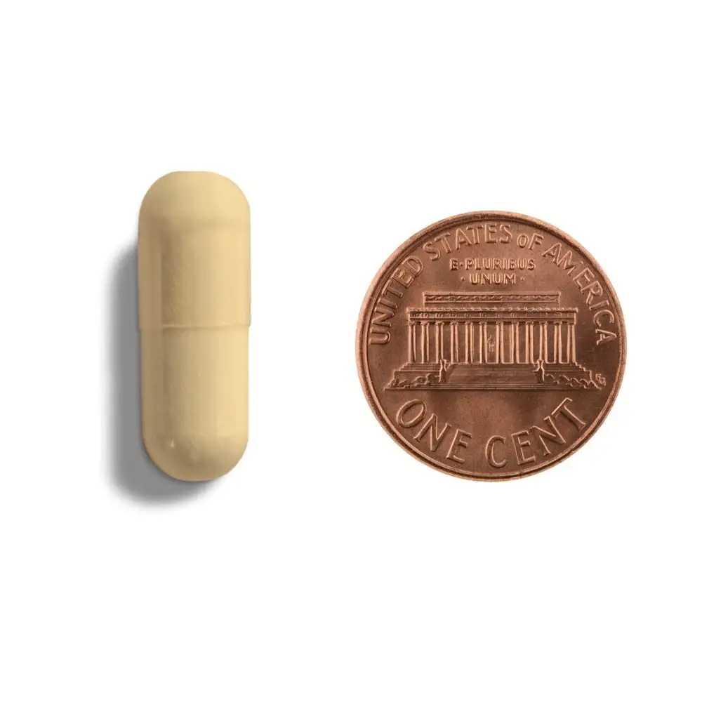 Prebiotic Mushroom Blend - Image 4