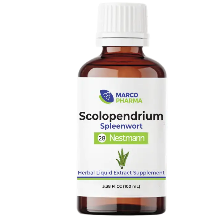 Scolopendrium 100 ml 3.38 oz N28L.
