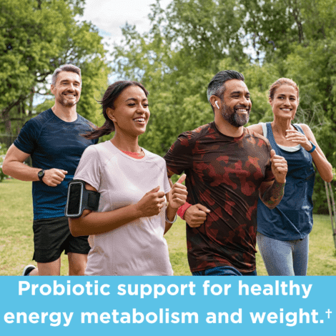 Probiotic support for healthy energy metabolism and weight management.